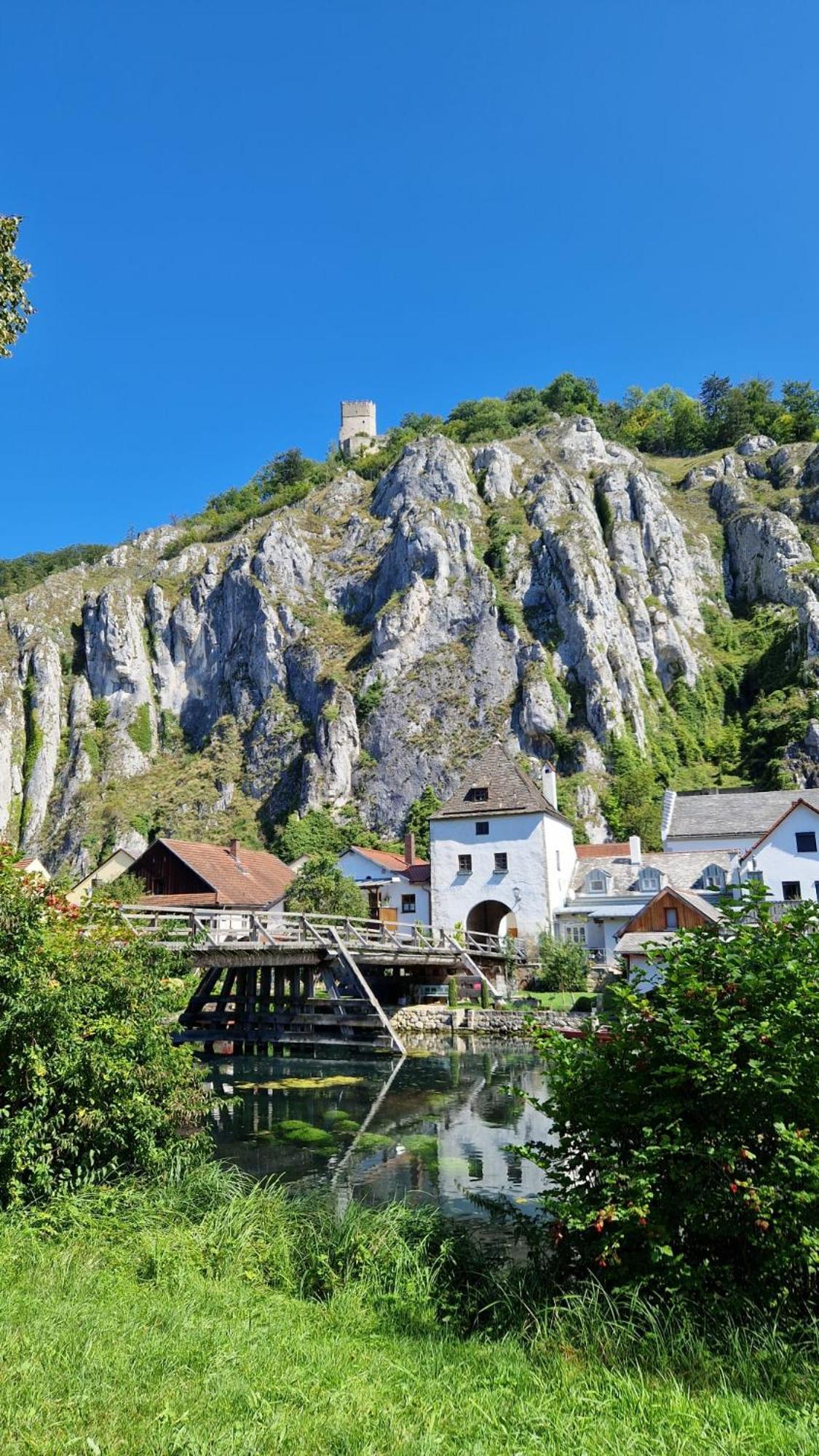Ferienwohnung Dreiburgenblick Riedenburg Ngoại thất bức ảnh